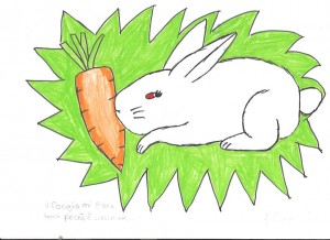 Amelia Ciurca - Il conglio con la carota